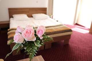 Отель Hotel DYMINY Кельце Двухместный номер с 2 отдельными кроватями-4